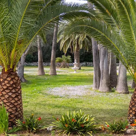 Rural Predio Son Serra