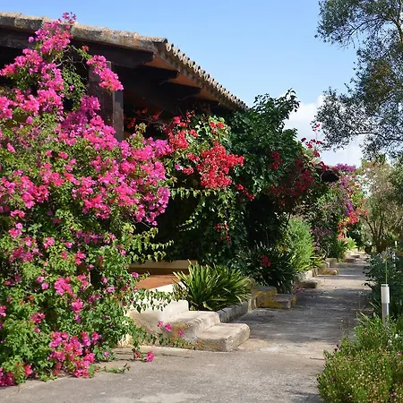 Rural Predio Son Serra *