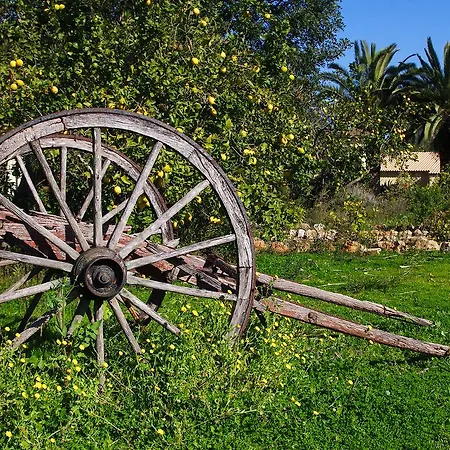 Rural Predio Son Serra