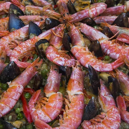 Rural Predio Son Serra * Can Picafort (Mallorca)