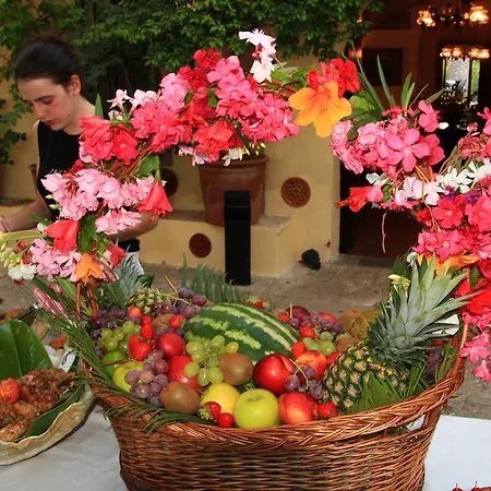 Rural Predio Son Serra בית כפרי קאן פיקפורט