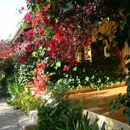 Landhuis Rural Predio Son Serra