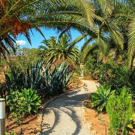 Rural Predio Son Serra Gospodarstwo wiejskie Can Picafort (Mallorca)