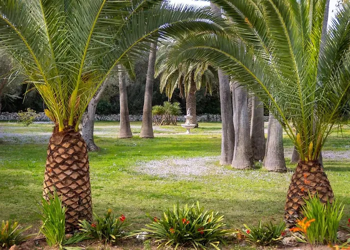 Finca Rural Predio Son Serra