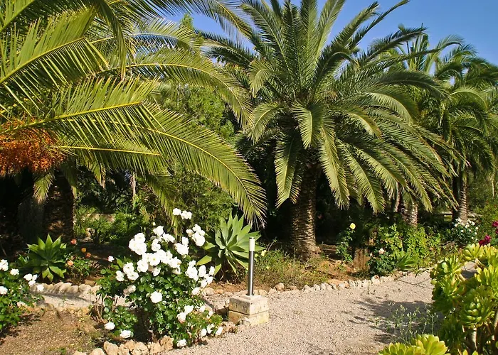 Lantställe Finca Rural Predio Son Serra *