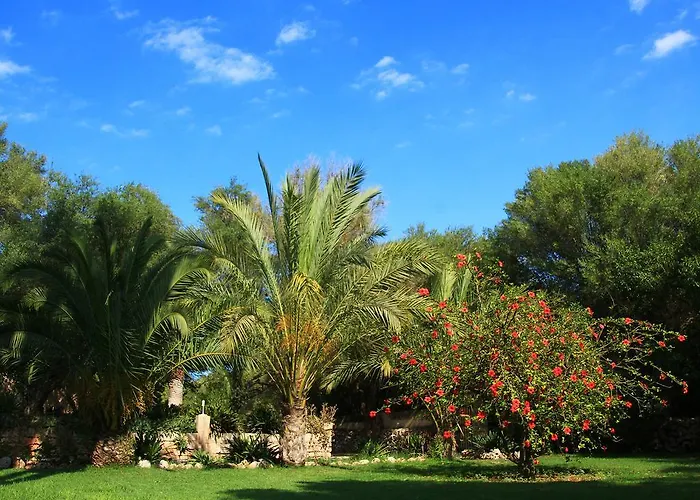 Finca Rural Predio Son Serra Lantställe *