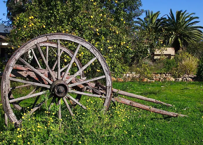 Rural Predio Son Serra