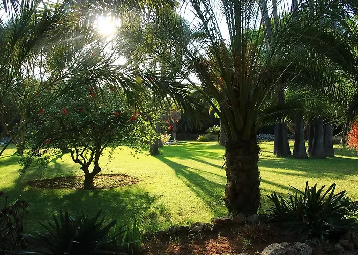 Rural Predio Son Serra Літній будинок *