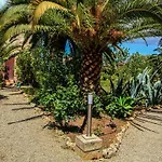 Casa de Campo Rural Predio Son Serra *