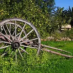Rural Predio Son Serra