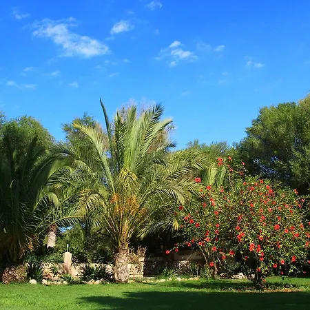 Rural Predio Son Serra Country house *