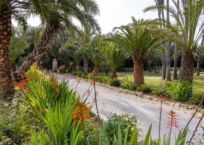 Rural Predio Son Serra Kır Evi
