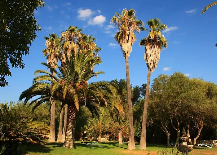 Rural Predio Son Serra Kır Evi Can Picafort (Mallorca)