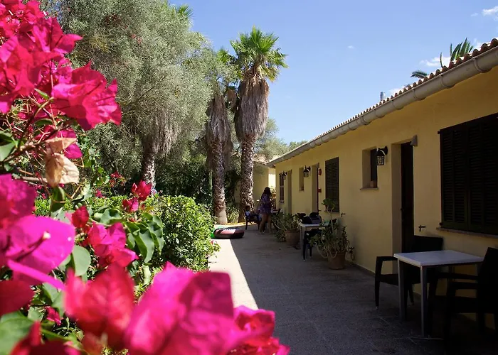 Rural Predio Son Serra Kır Evi Can Picafort (Mallorca)