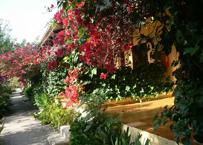 Landhaus Rural Predio Son Serra